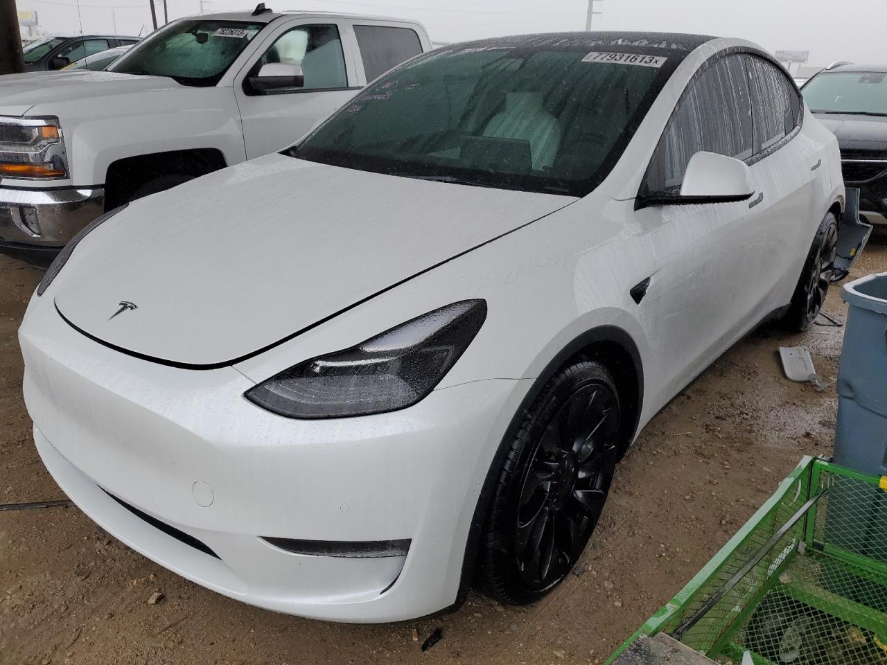 2022 TESLA MODEL Y  2022 image
