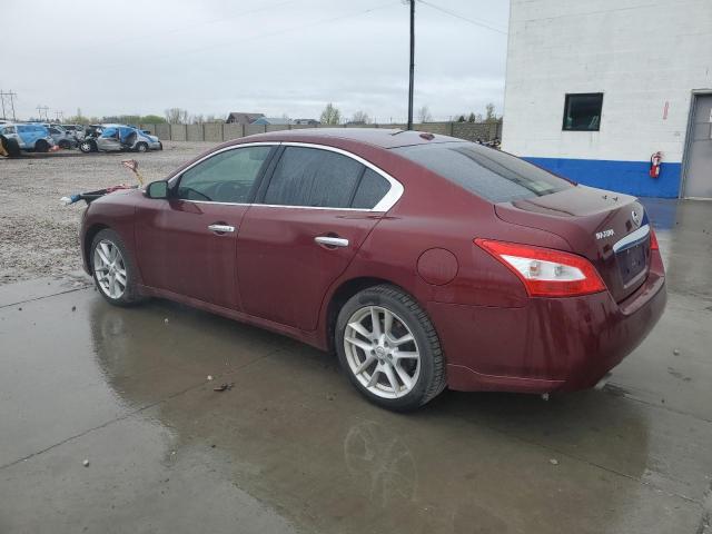 Изображение 2 2009 NISSAN MAXIMA S 2009 с VIN 1N4AA51E09C845490