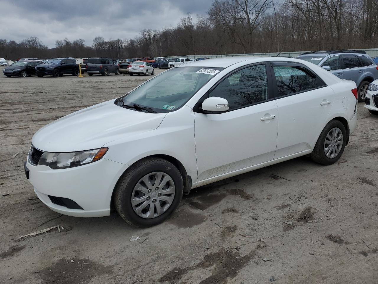 Obraz 2010 KIA FORTE EX 2010