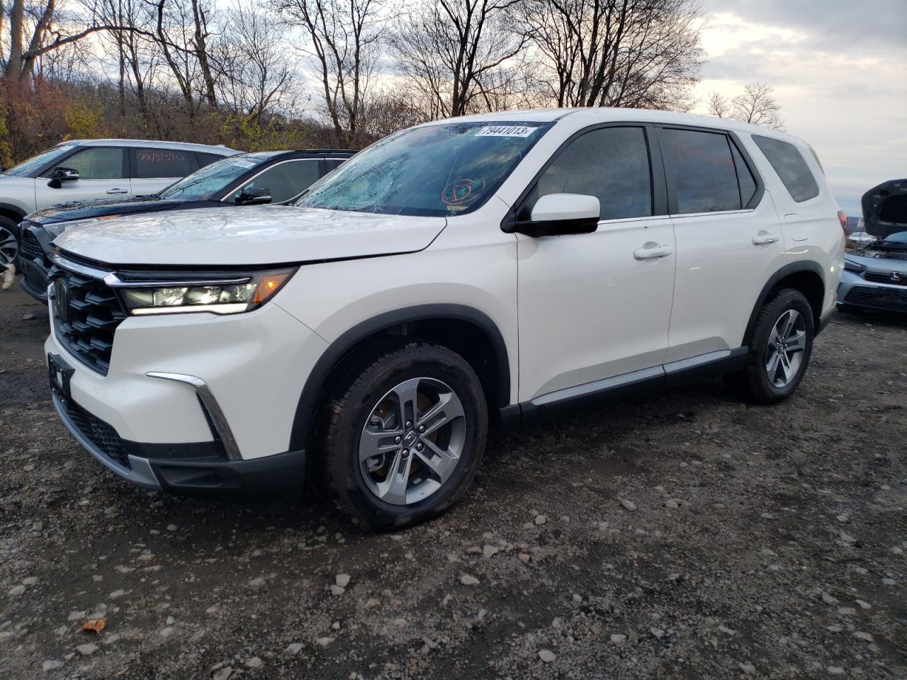 2023 HONDA PILOT EXL 2023 image