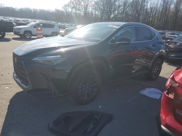 2024 LEXUS NX 350 BASE 2024 image