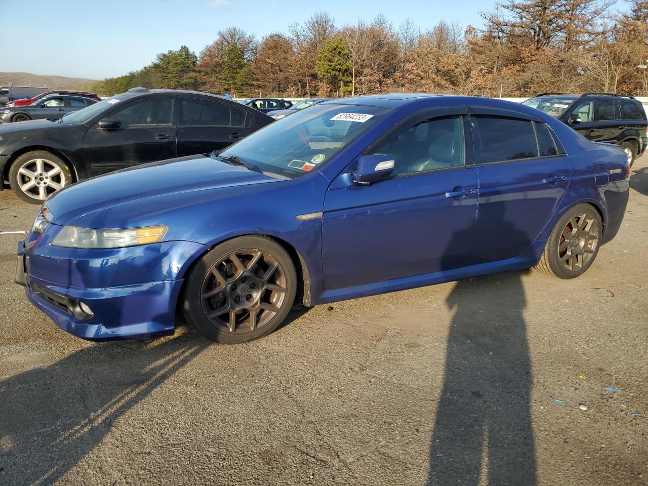 2007 ACURA TL TYPE S 2007 image