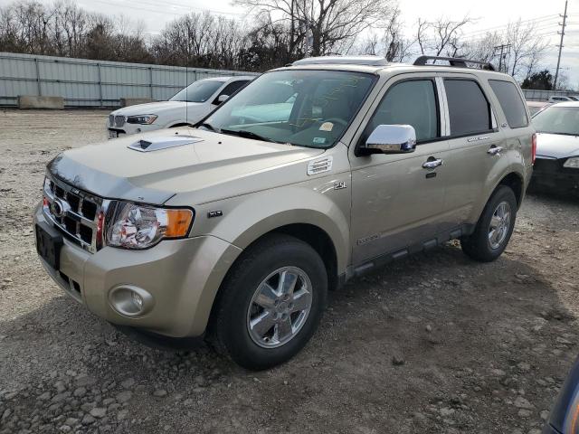 Obraz 2012 FORD ESCAPE XLT 2012