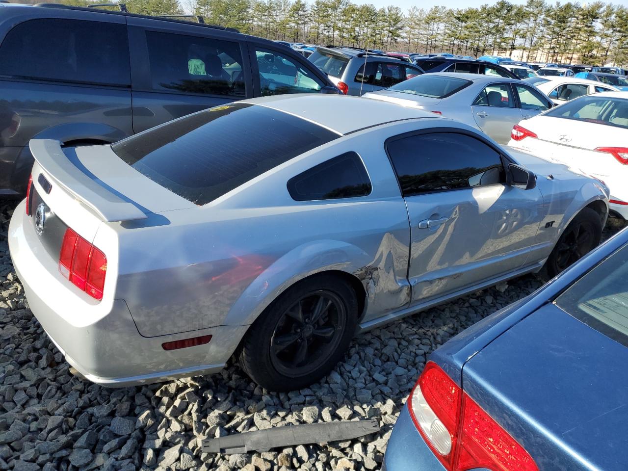 Obraz 3 z 2005 FORD MUSTANG GT 2005 z VIN 1ZVHT82H355112214