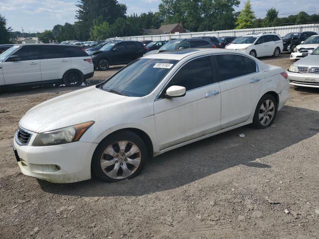 Изображение 1 2008 HONDA ACCORD EXL 2008 с VIN 1HGCP36848A066887