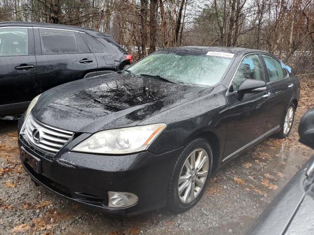 Obraz 2010 LEXUS ES 350 2010