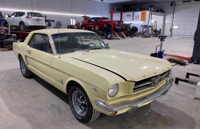 1965 FORD MUSTANG 1965 image