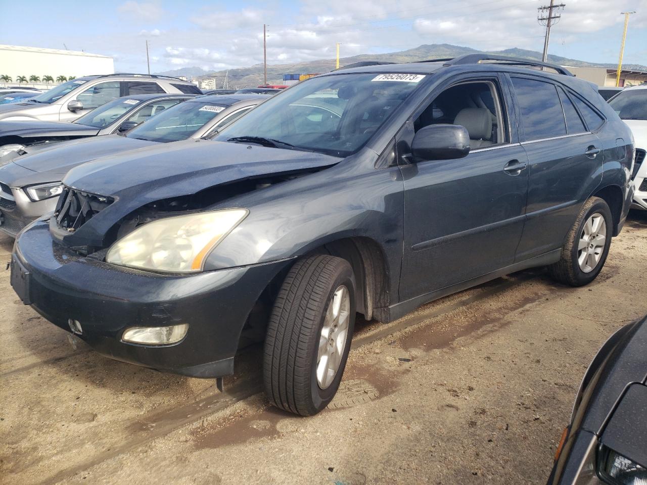 2004 LEXUS RX 330 2004 image
