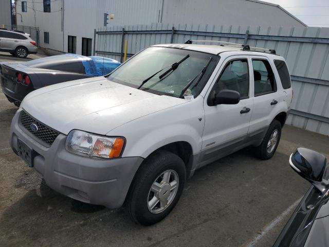 Obraz 2001 FORD ESCAPE XLS 2001