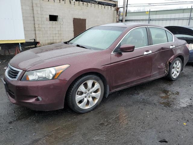Изображение 1 2010 HONDA ACCORD EXL 2010 с VIN 5KBCP3F88AB018919