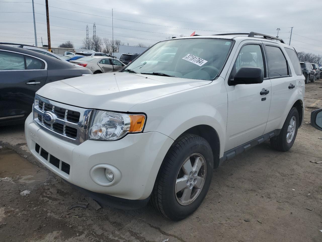 Image 1 of 2011 FORD ESCAPE XLT 2011 with VIN 1FMCU0D73BKB58702
