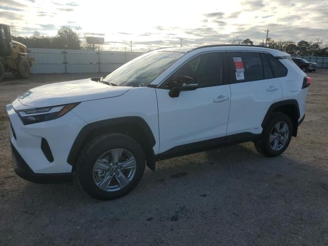 2024 TOYOTA RAV4 XLE 2024 image