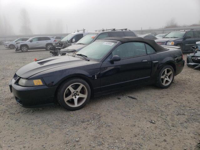Image 1 of 2003 FORD MUSTANG COBRA SVT 2003 with VIN 1FAFP49Y43F406540