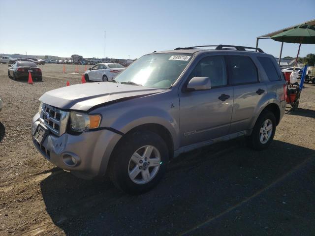 Obraz 2008 FORD ESCAPE HEV 2008