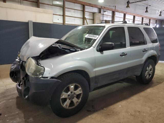 2006 FORD ESCAPE XLT 2006 image