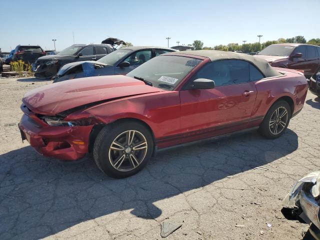 Изображение 1 2010 FORD MUSTANG  2010 с VIN 1ZVBP8EN2A5107172