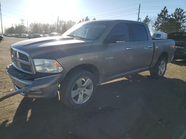 2010 DODGE RAM 1500  2010 image