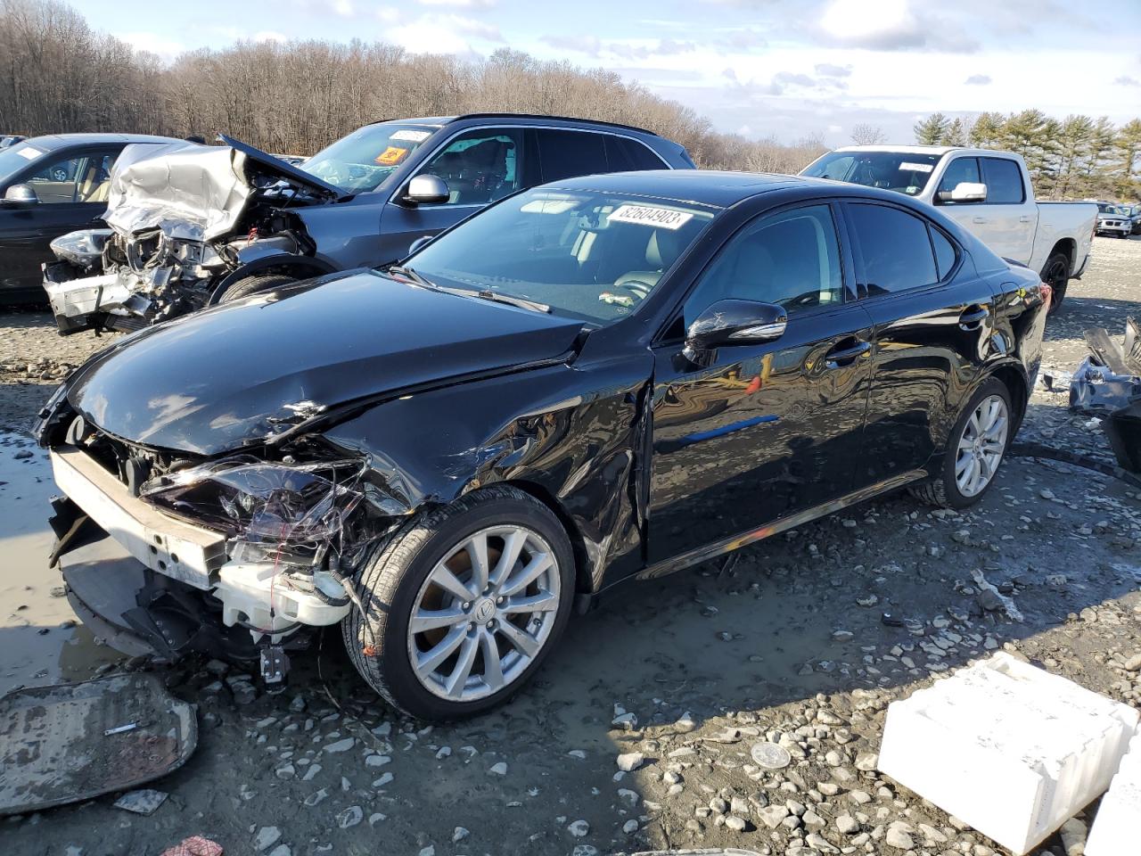 2009 LEXUS IS 250 2009 image