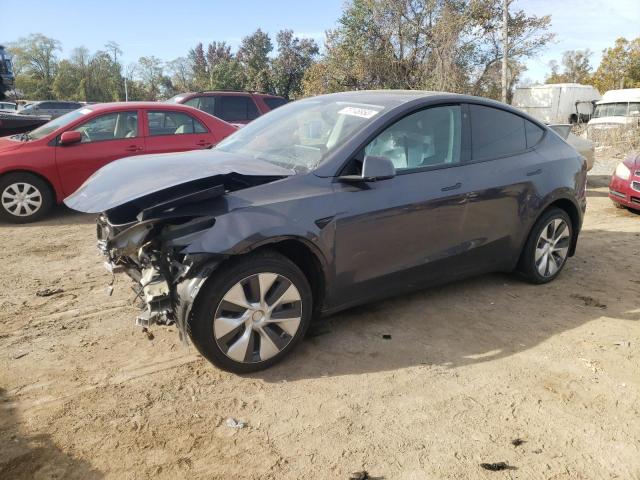 2023 TESLA MODEL Y  2023 image