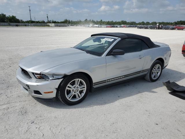 2010 FORD MUSTANG  2010 image