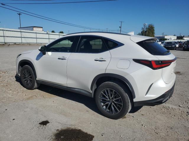 Image 2 of 2022 LEXUS NX 250 2022 with VIN JTJADCEZ7N5000392