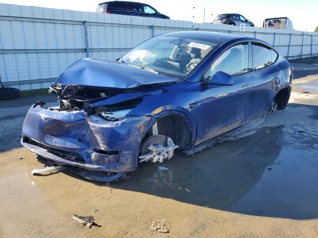 Изображение 1 2023 TESLA MODEL Y  2023 с VIN 7SAYGDEE1PA157557