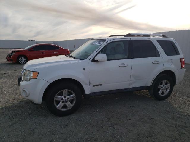 Obraz 2008 FORD ESCAPE HEV 2008