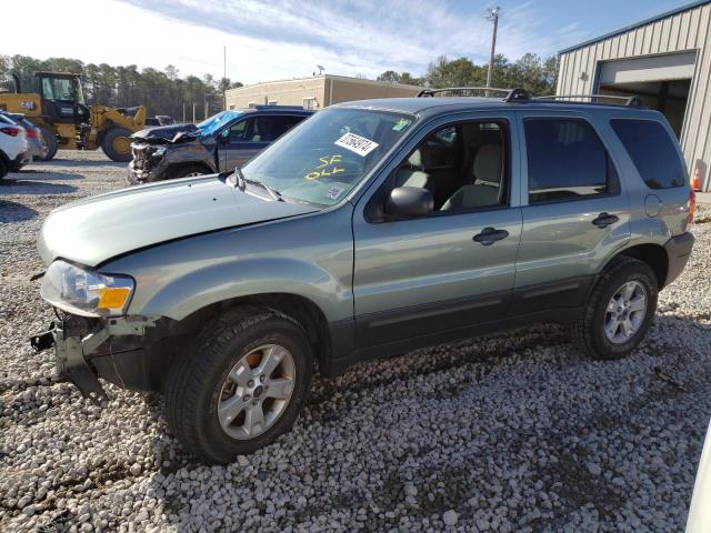 2006 FORD ESCAPE XLT 2006 image