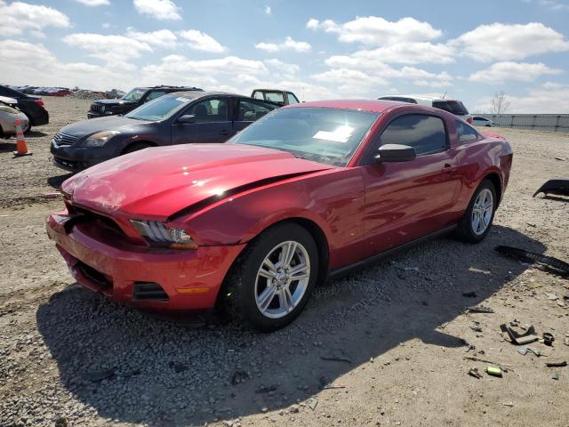 Image 1 of 2010 FORD MUSTANG  2010 with VIN 1ZVBP8AN4A5155827
