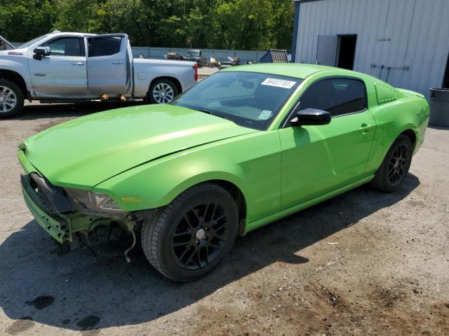 Obraz 2014 FORD MUSTANG  2014