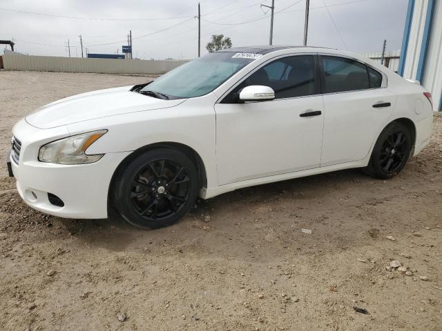 2010 NISSAN MAXIMA S 2010 image