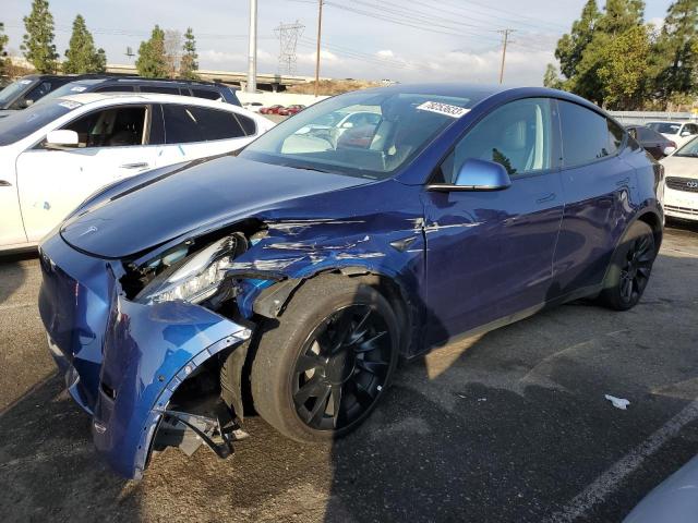 2022 Tesla MODEL Y 2022 image