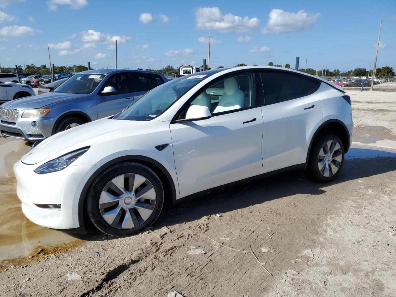 2023 TESLA MODEL Y  2023 image