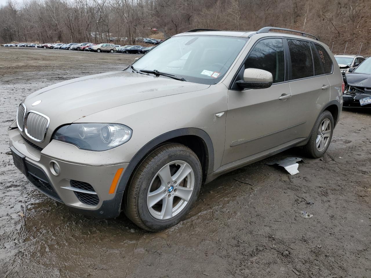 2011 BMW X5 XDRIVE35D 2011 image