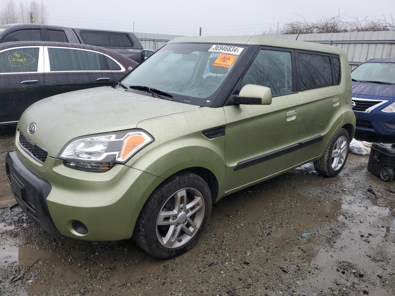 2010 KIA SOUL + 2010 image