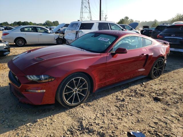 2023 FORD MUSTANG  2023 image