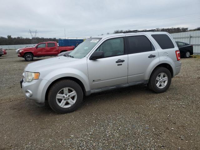 2010 FORD ESCAPE HYBRID 2010 image