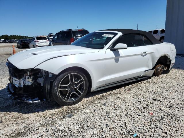 2023 FORD MUSTANG  2023 image