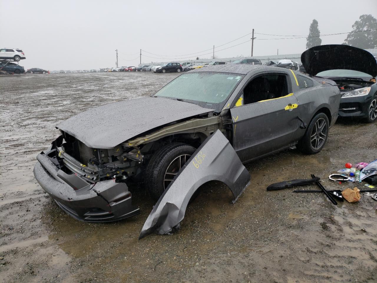 2014 FORD MUSTANG  2014 image