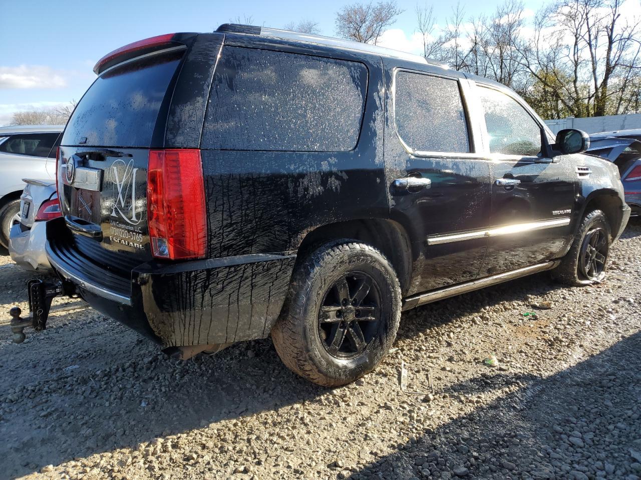 Image 3 of 2010 CADILLAC ESCALADE PREMIUM 2010 with VIN 1GYUKCEF3AR256358
