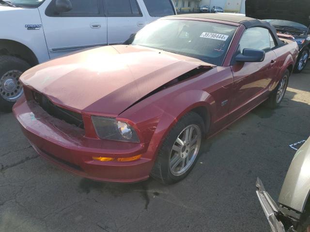 Изображение 1 2005 FORD MUSTANG GT 2005 с VIN 1ZVFT85H055198052