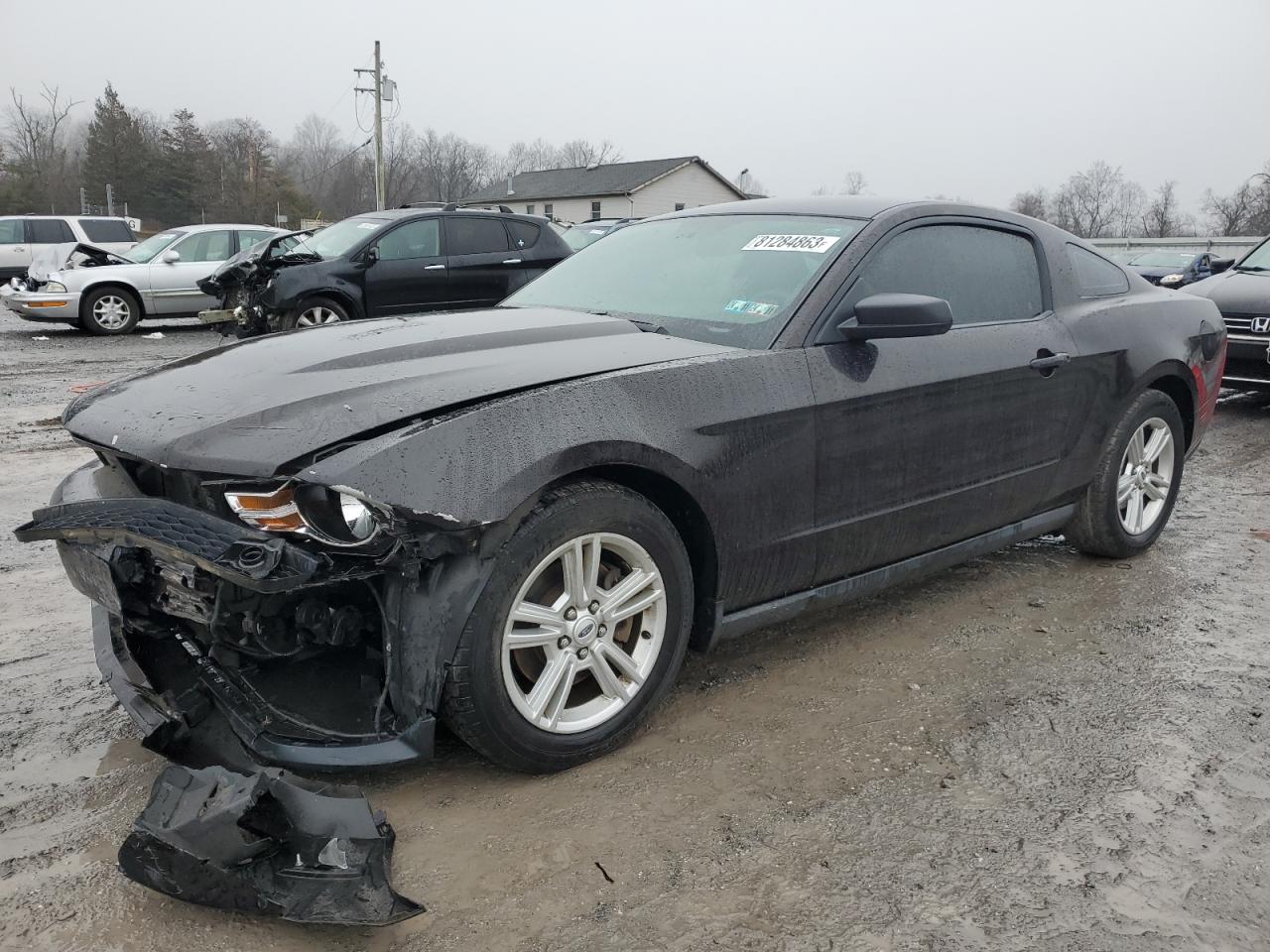 Obraz 1 z 2012 FORD MUSTANG  2012 z VIN 1ZVBP8AM2C5213444