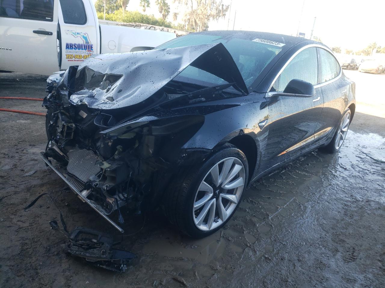 2019 TESLA MODEL 3  2019 image