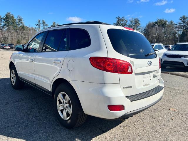 Obraz 3 z 2009 HYUNDAI SANTA FE GLS 2009 z VIN 5NMSG73D19H253207