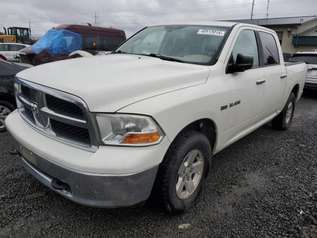 2009 DODGE RAM 1500  2009 image