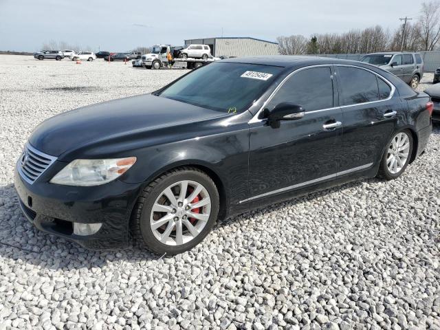 2010 LEXUS LS 460 2010 image
