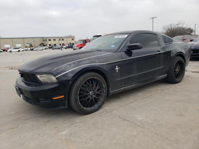 Obraz 2010 FORD MUSTANG  2010