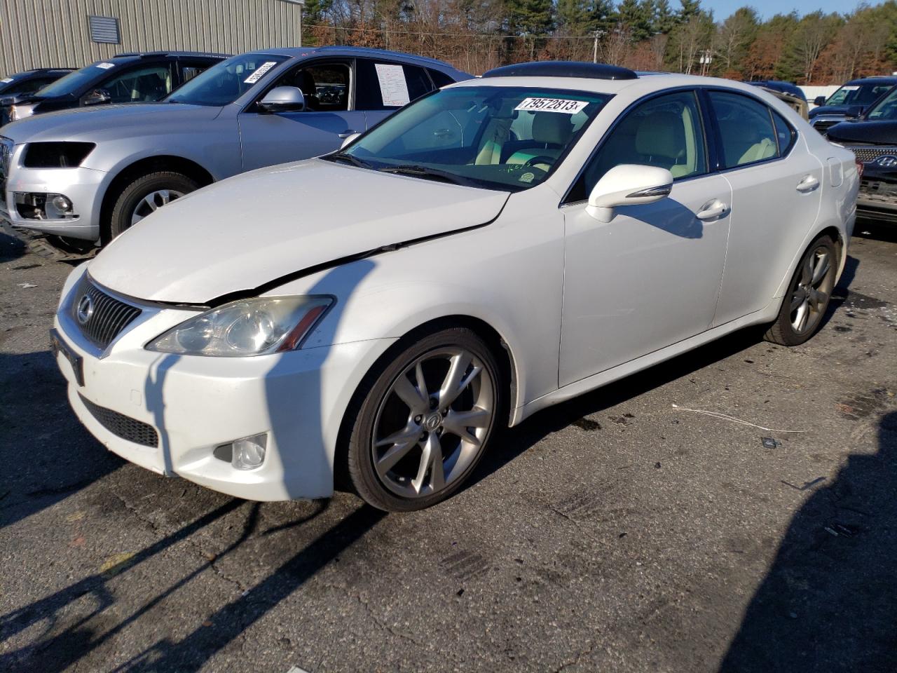 2009 LEXUS IS 250 2009 image