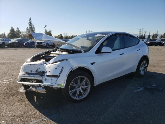 2023 TESLA MODEL Y  2023 image
