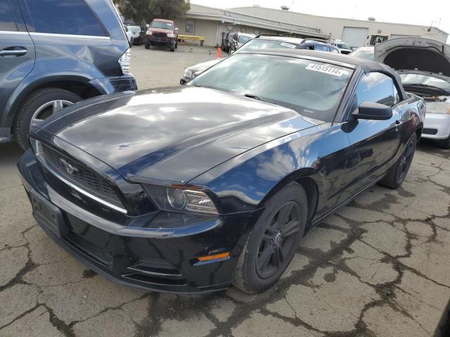 2014 FORD MUSTANG  2014 image